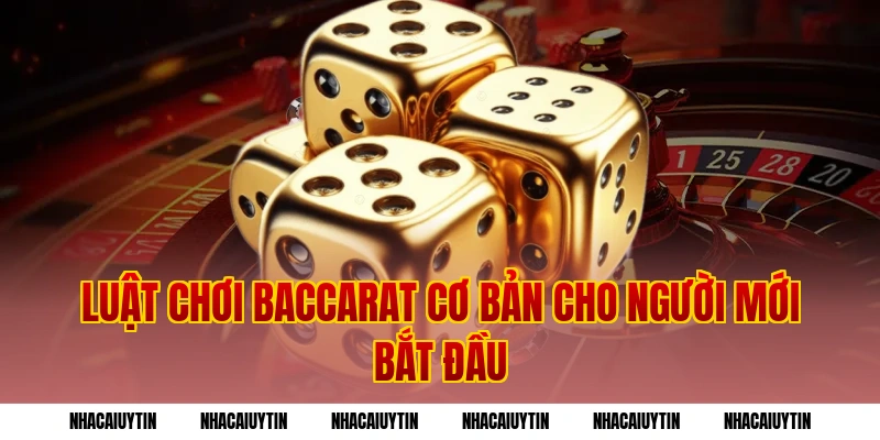 Luật chơi baccarat cơ bản cho người mới bắt đầu